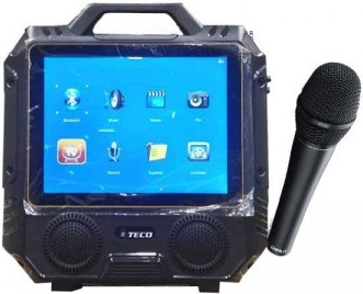 Teco T13 14" Color TFT LED TV Bluetooth Karaoke Player