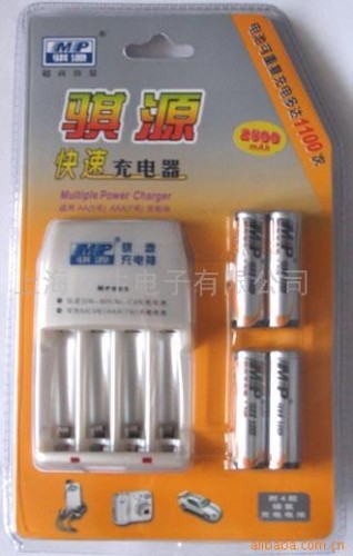 Standard Rechargeable Battery Charger