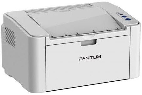 Pantum P2200 High Speed Laser Printer
