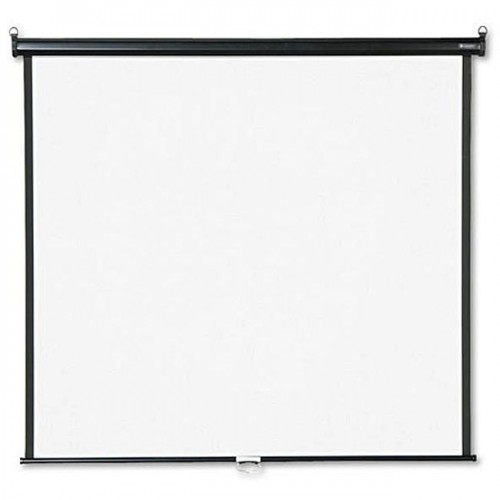 Apollo 70 x 70 Inch Wall Projection Screen