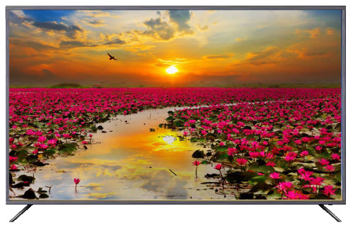 Pilot View 65" Full HD Android LED Television