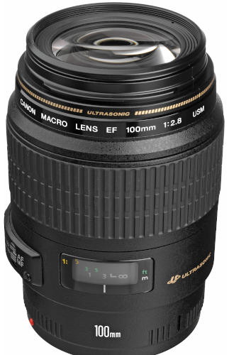 Canon EF 100mm f/2.8 USM Lens