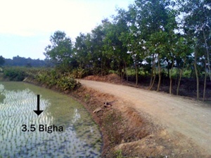 3.5 Bigha Land Available at Fulbaria Gazipur