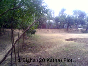 1 Bigha Land Available at Mirzapur Gazipur