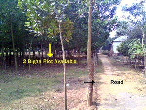 2 Bigha land available at Bahadurpur Gazipur