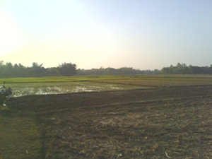 3 bigha land at chabagan