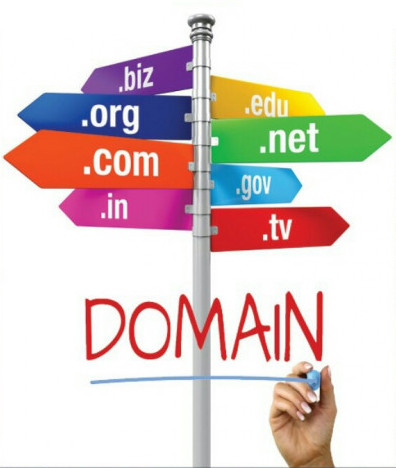 Domain Name Registration Service